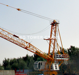 GHD5522-12（Wolff）